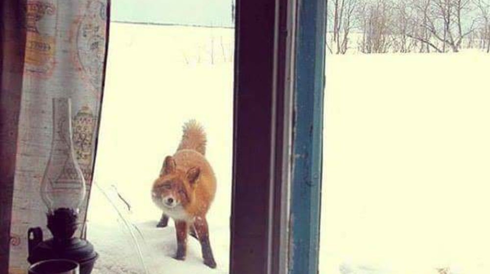 Зимние книжки