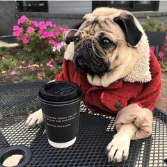 План на год