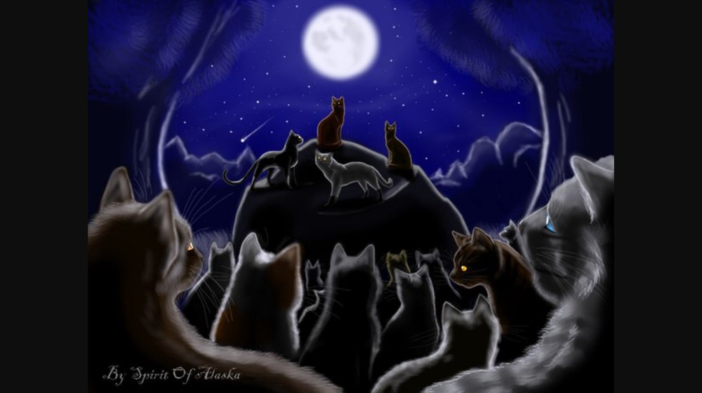 Коты-Воители