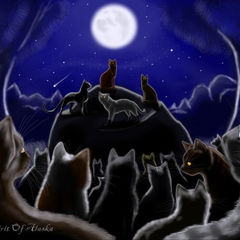 Коты-Воители