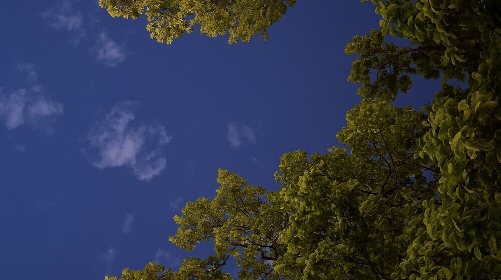 Для души 🍀