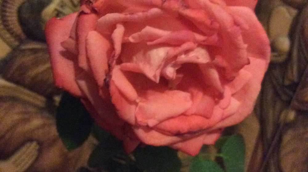 Золотая роза