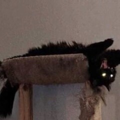 Психология