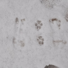 Самопознание