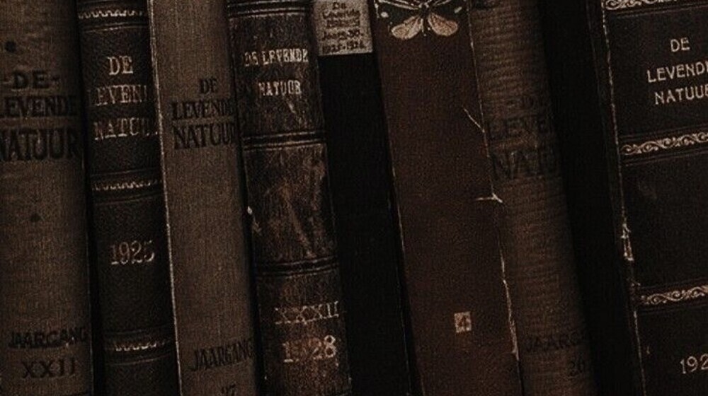 Произведения для ОГЭ по литературе