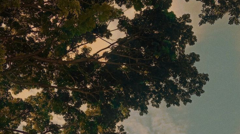 Как понимать лирику