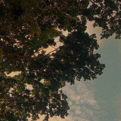 Как понимать лирику