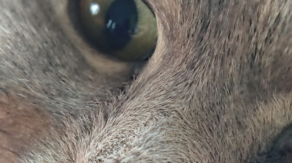 Хорошенькие фэнтези