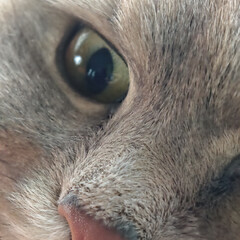 Хорошенькие фэнтези