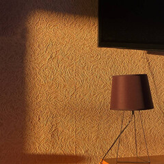 Чертов букток