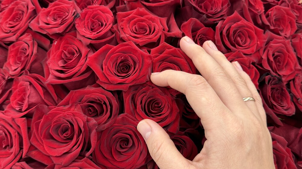 Список книг на 2024