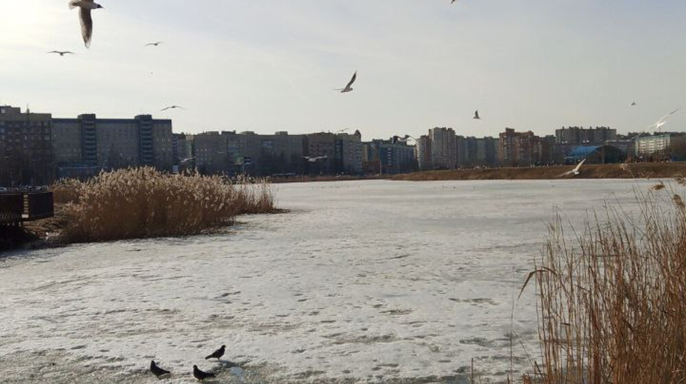 Современная российская проза