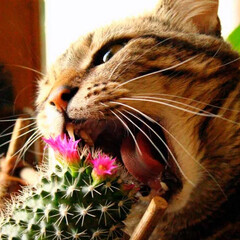 Кололась, но жевала: антирейтинг книг по психологии