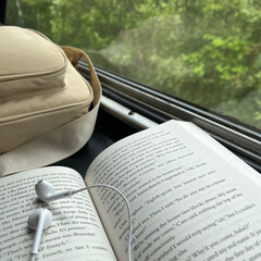 Троп «От ненависти до любви»