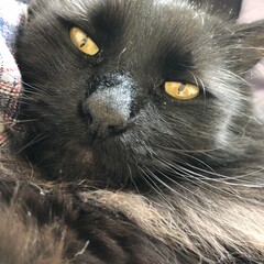 Кто под книжкой