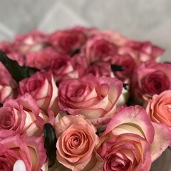 Избранное✨