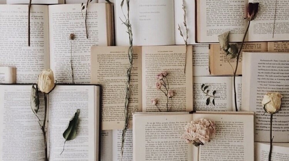 Любимые книги