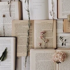 Любимые книги