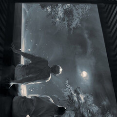 млм новеллы