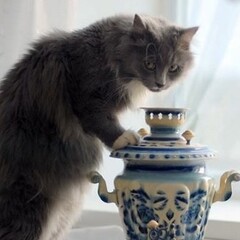 Русское современное🙈