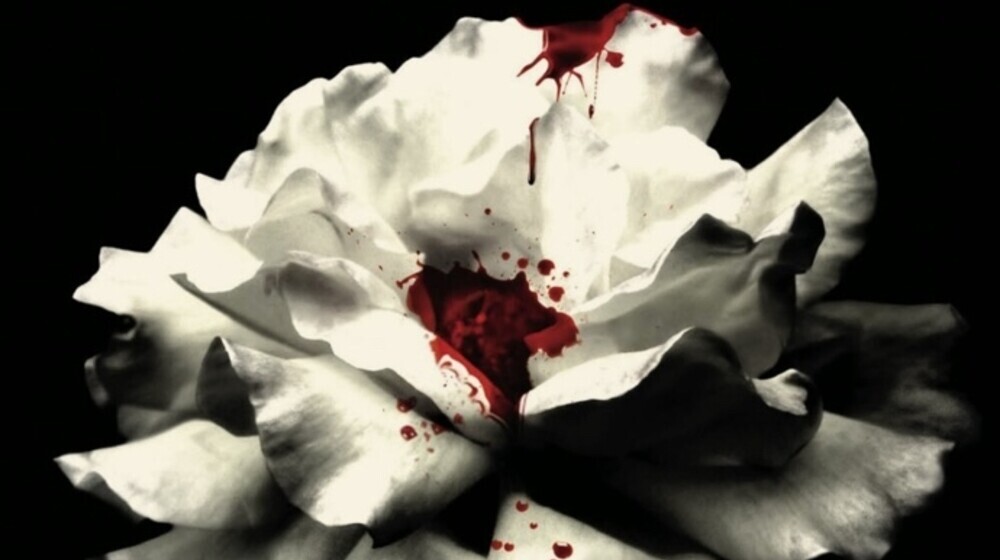 Жажда. Трейси Вульф.