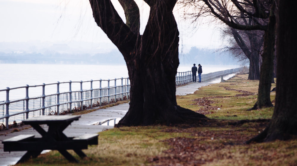 Дик Френсис