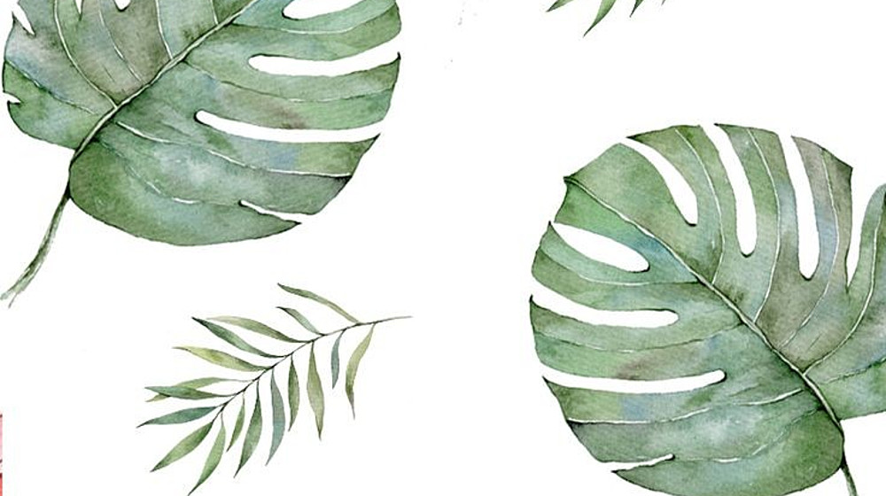 Суржевская "Ветер Севера"