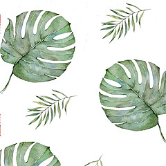 Суржевская "Ветер Севера"