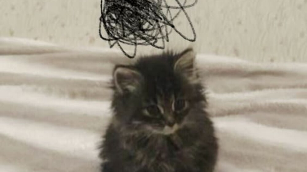 психология