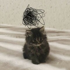 психология