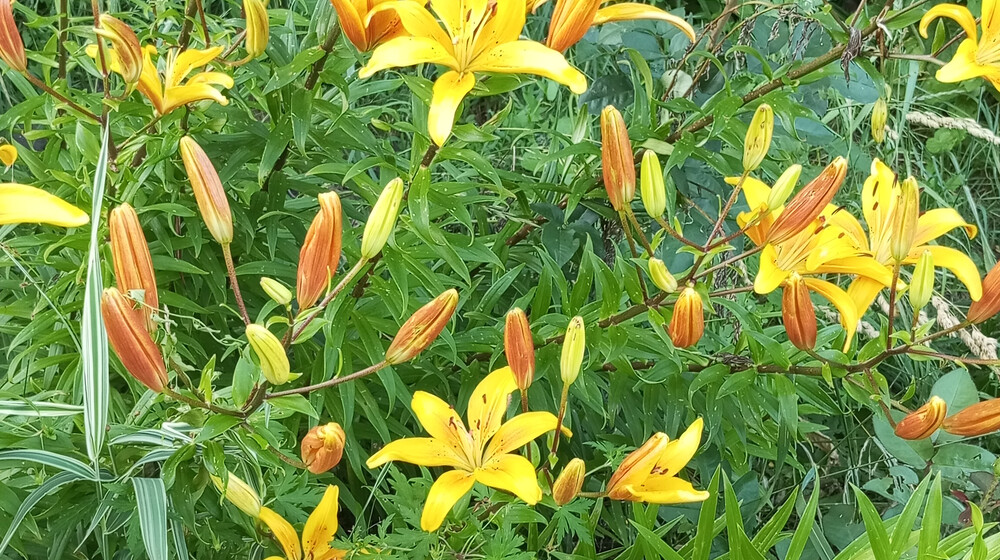 Книжный клуб
Лето 2025