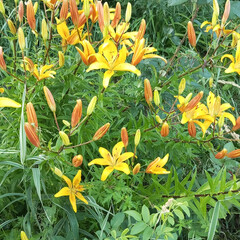 Книжный клуб
Лето 2025