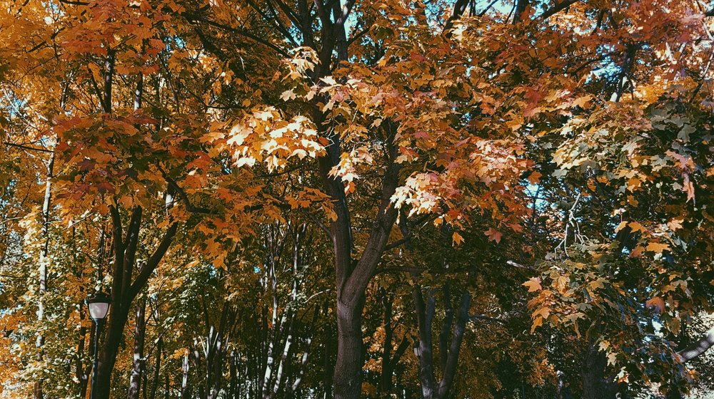 Детская психология и воспитание