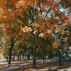 Детская психология и воспитание