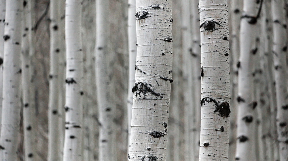 Русская хтонь