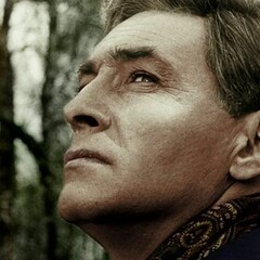 Весь Штирлиц