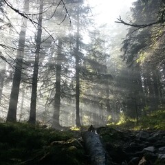 Ханс Русенфельдт, Микаэль Юрт