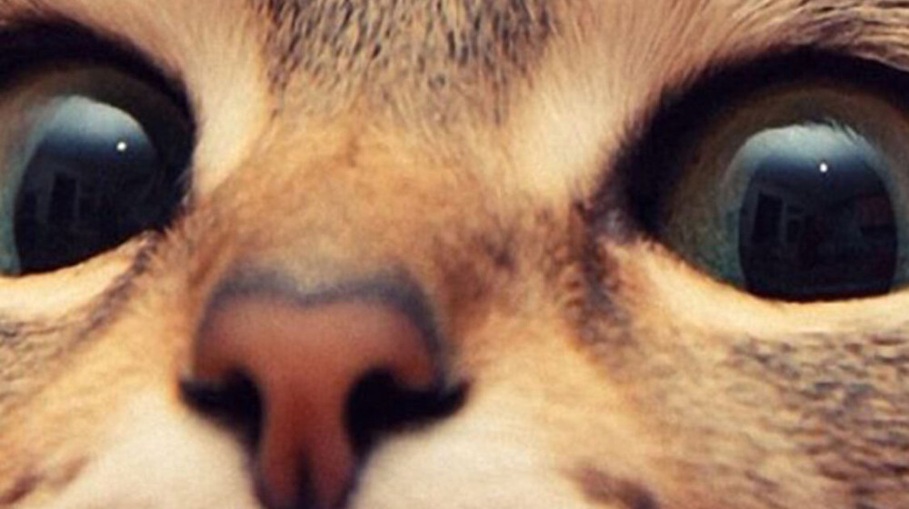 Интересное