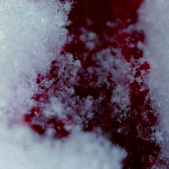 Безжалостные наследники