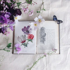 Нечитающая Ксю