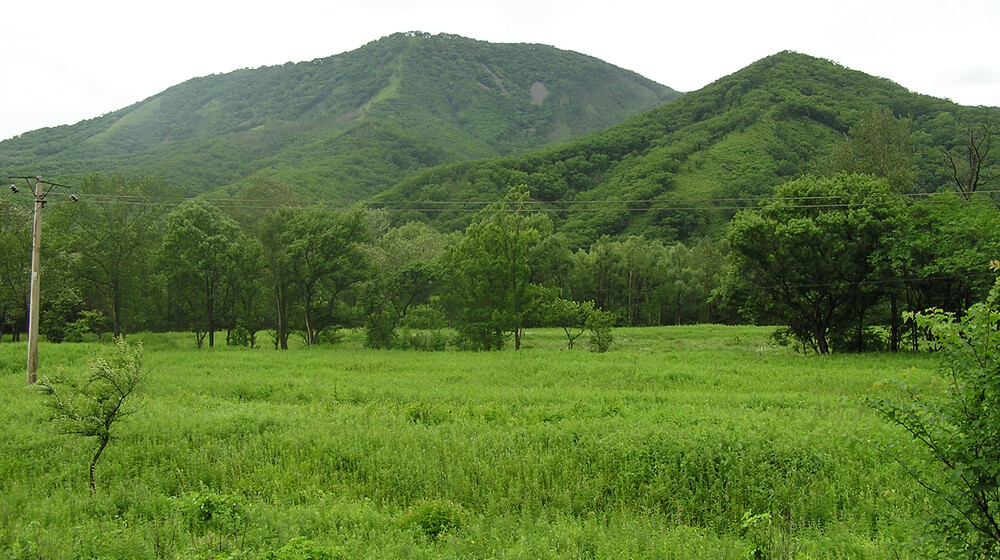 Русская проза