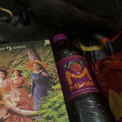 Луиза Мэй Олкотт