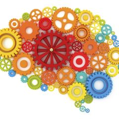 Развитие мозга