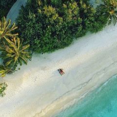 Книги на полке