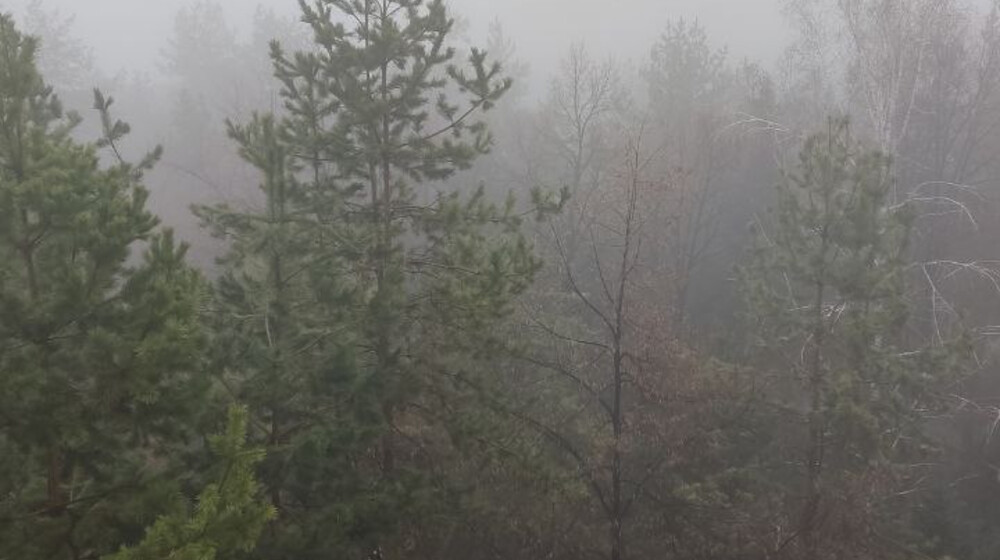 Книги на английском