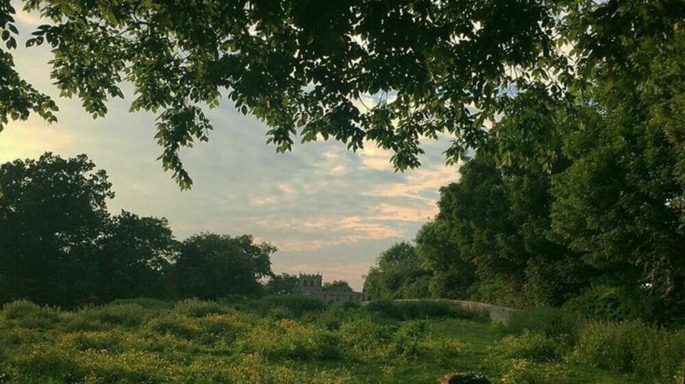 прекрасный мир