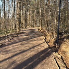 Книги в дорогу 2025