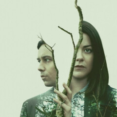 Дублинский отдел убийств