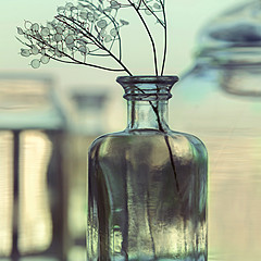 Самообразование
