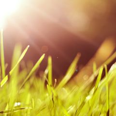 Саморазвитие: все в себя!